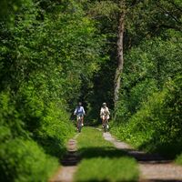 Im Wald bei Schaan