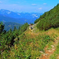 Niederalpl - Hohe Veitsch - Seewiesen