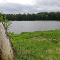 Im Teichgebiet der Wolche bei Krölpa