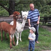 © Alpaka Bratschitz_Familie Bratschitz