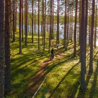 Jyri- und Pärnä-Wanderweg, entlang des Nadelpfades zum Ufer des Jyrinjärvi-Sees