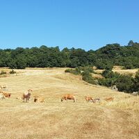 Schleife-13-020-Larzac-D151 _ mountnpass