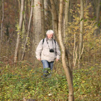 Creuse_Waldwanderung