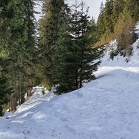 6.4 km Straße queren und Abkürzer nehmen