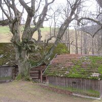 Krumbach - Hallerhaus