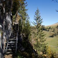 Weg vor untere Euchels - Alpenpanoramaweg Etappe 20