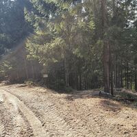 25.1 km Schräg rechts in trailartigen Downhill