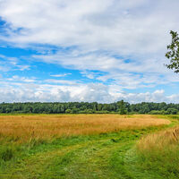 Wiesenpfad zwischen der Nord- und Südroute nahe der Wümmebrücke
