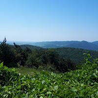 Aussicht von Trifelsblickhütte