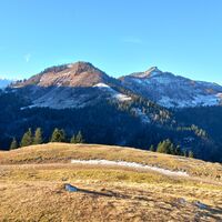 Bergköpfl