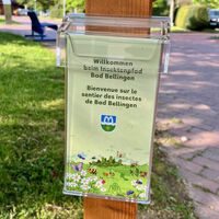 Insektenpfad - Flyer