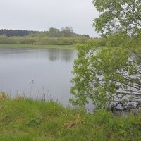 Steckenteich