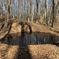 Hier sind einige kreisrunde Bombentrichter. Dieser ist mit Brackwasser gefüllt, für die Wasserflasche eher nicht geeignet..