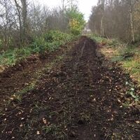 Naturbelassener landwirtschaftlich genutzter Feldweg