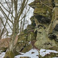 Felsen an Thaya Ufer