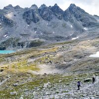 Wildseehörner im Hintergrund