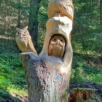 Ohrdruf Waldgeister und Feen Pfad - Eulenbaum