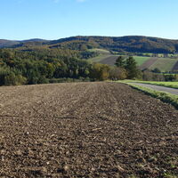 Abstieg zum Kühberg