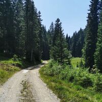 Weg Neuleutasch nach Wildmoos