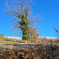 Übergang nach Warth