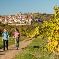 Zwischen den Weinreben