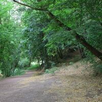 Beginn des Stedtfelder Berbaulehrpfades an Station 1 und 2