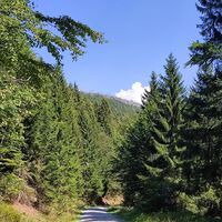 Blick vom Witikosteig zum Steinernen Meer