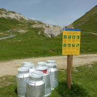 Abfahrt Parkplatz Bellecombe