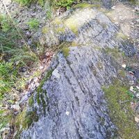Naturpfad Pappilanniemi