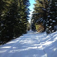 durch den Wald nach Rellseck