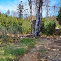 ... ab dem Hochstand nach links flacher weiter