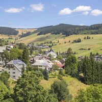 Blick auf Todtnauberg