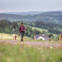 Wandern am Rohrhardsberg
