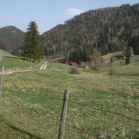 am Weg zurück