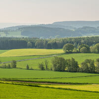 ET-2019-320-Vulcanpfad, Steffelnkopf © Eifel Tourismus GmbH, Dominik Ketz
