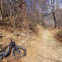 Das Gebiet zwischen Serremarchetto und Albarea