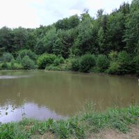 Pochteich bei Regen