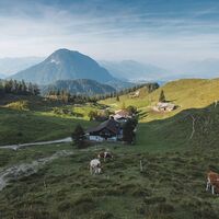 Scheffau_Walleralm_Wilder Kaiser