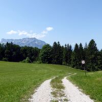Hier verläuft der vorübergehend unmarkierte Weg kurz vor der Abzweigung Vollererhof nach St. Jakob.