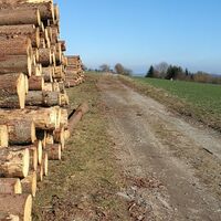 Remptendorf - Ruhteich - Friesauer Hügel