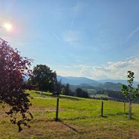 Blick auf die Landschaft in Gradisch