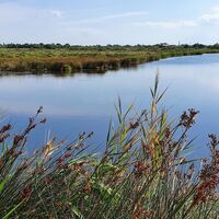 Wanderung la Tamarissière