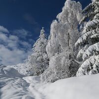 Wintertraum