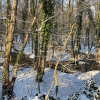 Winterspaziergang auf dem Otterbachbruch Wanderweg: Der beandernde Otterbach