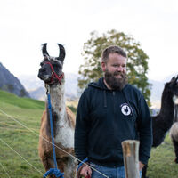 Lama- und Alpaka-Trekking in Triesenberg