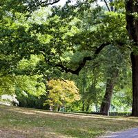 Kurpark Bad Gleichenberg