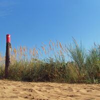 Sandige Wege durch die Heidelandschaft