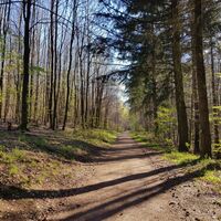 Spazierweg auf dem Hilschberg