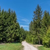 Wanderung zur Schlossbergkanzel bei Oberhof und Lütschetalsperre