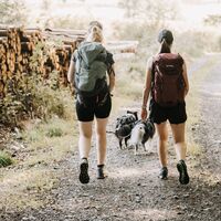 HeimatHike auf dem Orketalrundweg